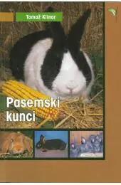 Pasemski kunci