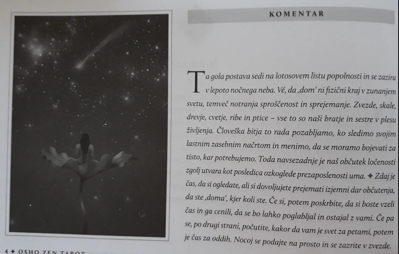 Osho Zen tarot - Transcendentalna zenovska igra - slika 2