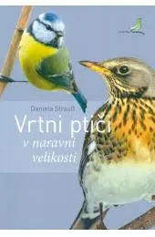 Vrtni ptiči: V naravni velikosti