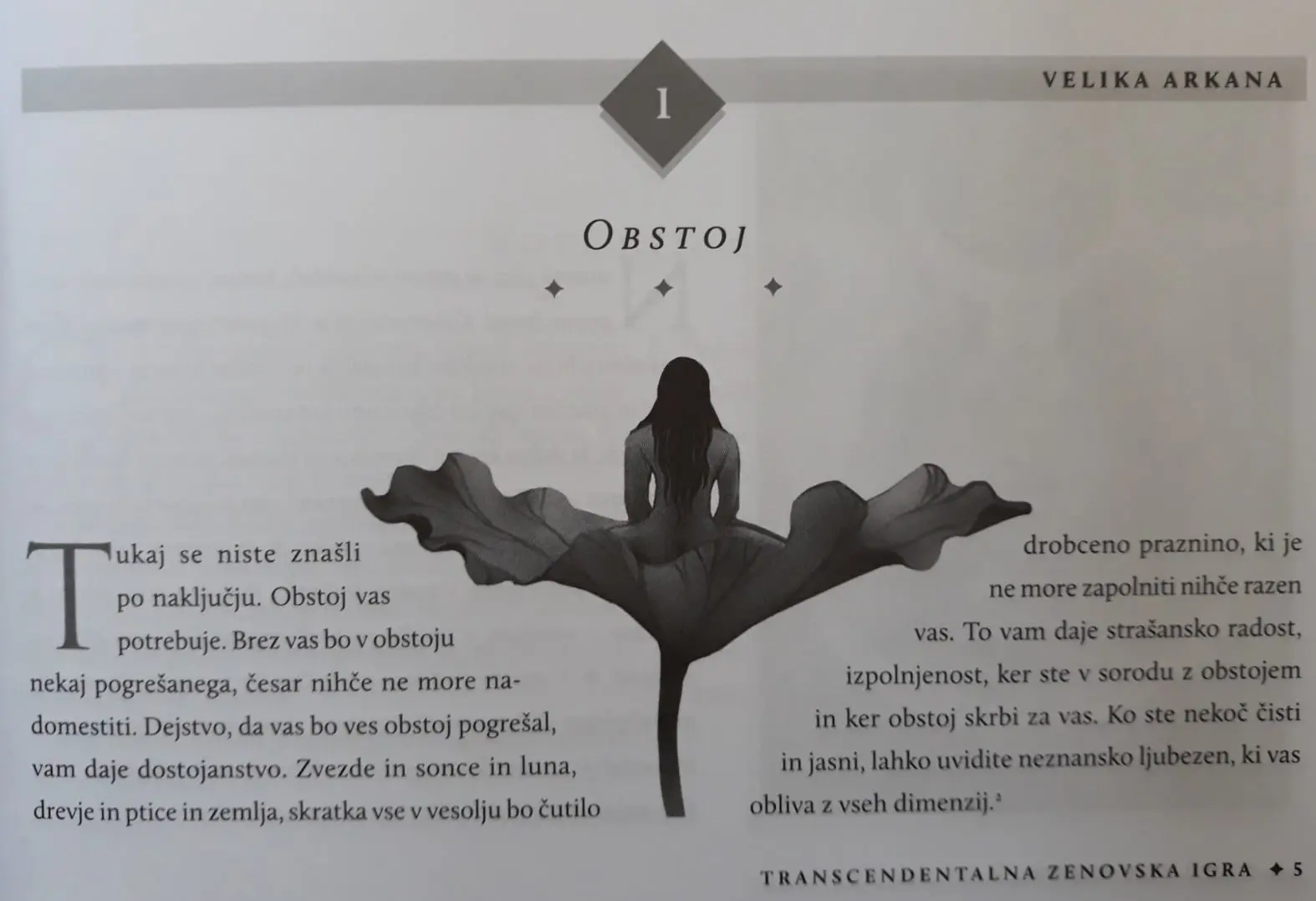 Osho Zen tarot - Transcendentalna zenovska igra - slika 3
