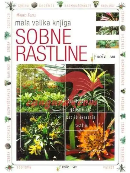 Sobne rastline