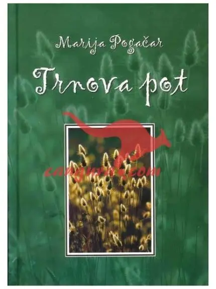 Trnova pot