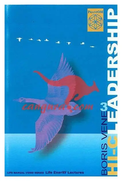 398e0393ed2dd729dc1f3d22352cf835 HI-C Leadership - Kako postati odličen