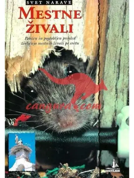 Mestne živali - Zbirka Svet narave