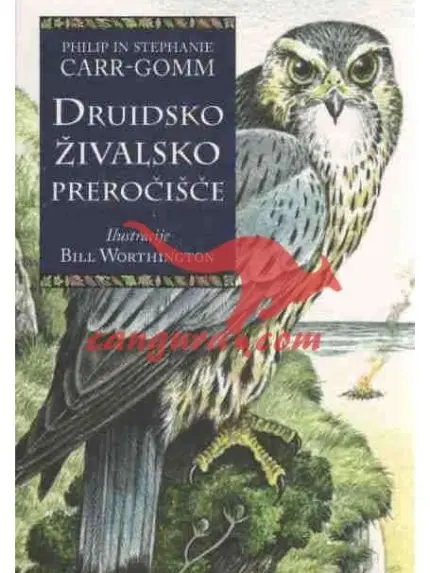 Druidsko živalsko preročišče (Komplet 33 svetih živalskih kart in knjižica)