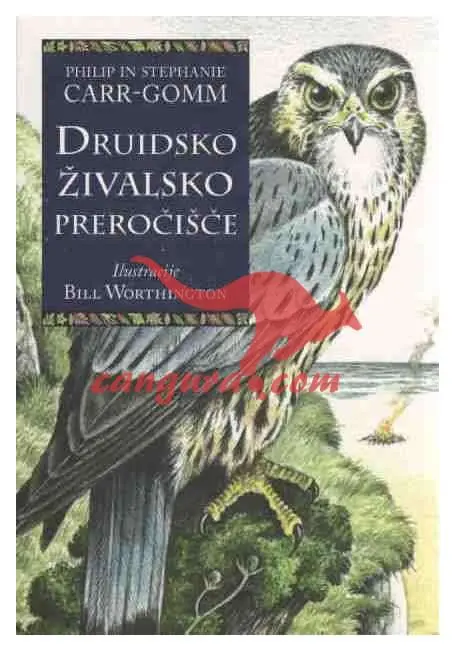 Druidsko živalsko preročišče (Komplet 33 svetih živalskih kart in knjižica)