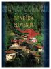Beneška Slovenija