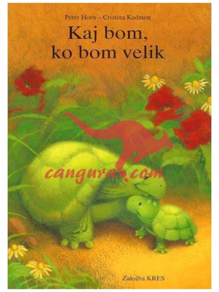 Kaj bom, ko bom velik