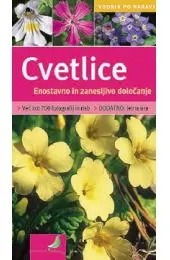 Cvetlice - slika 2