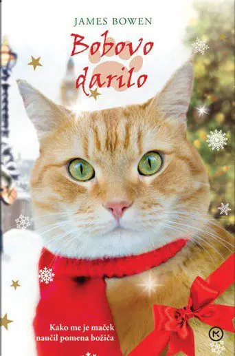 Bobovo darilo