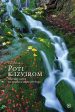 Poti k izvirom
