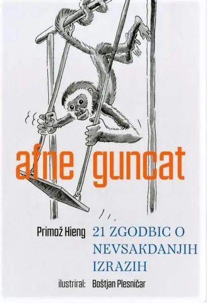afne-guncat Afne guncat