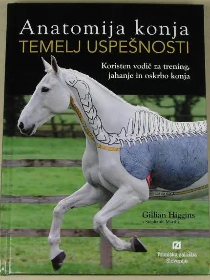 Anatomija konja - Temelj uspešnosti