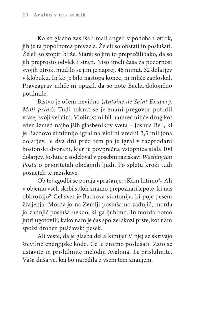 Avalon v nas samih - slika 13