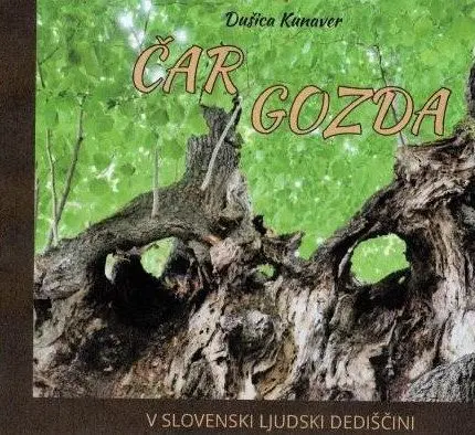 Čar gozda v slovenski ljudski dediščini
