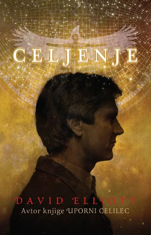 Celjenje - slika 10