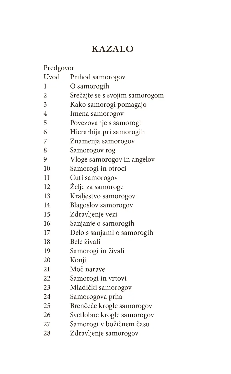 Čudežni samorogi: Vnebovzetje z višjimi angelskimi svetovi - slika 2