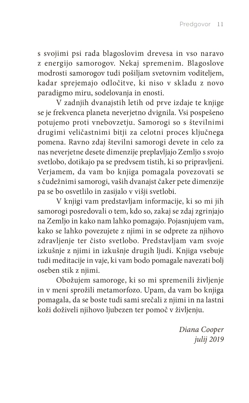 Čudežni samorogi: Vnebovzetje z višjimi angelskimi svetovi - slika 8