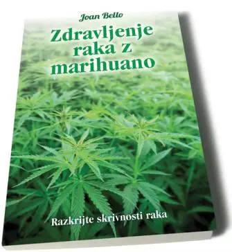 Zdravljenje raka z marihuano - slika 2