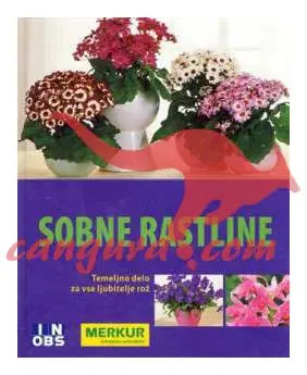 Sobne rastline - Temeljno delo za vse ljubitelje rož