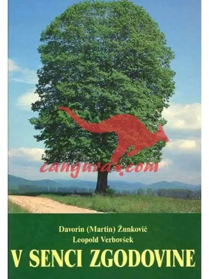 V senci zgodovine