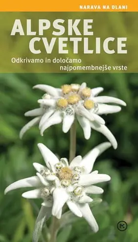 Alpske cvetlice: odkrivamo in določamo najpomembnejše vrste - slika 2