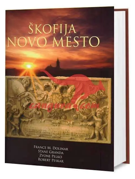 Škofija Novo mesto