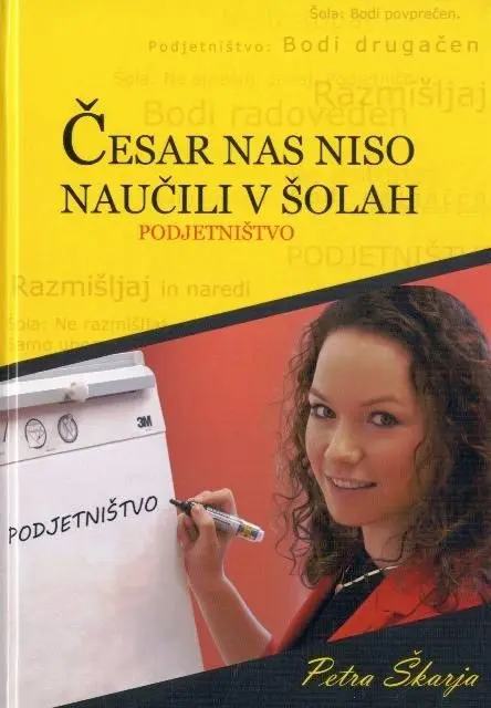 Česar nas niso naučili v šoli - Podjetništvo - slika 2