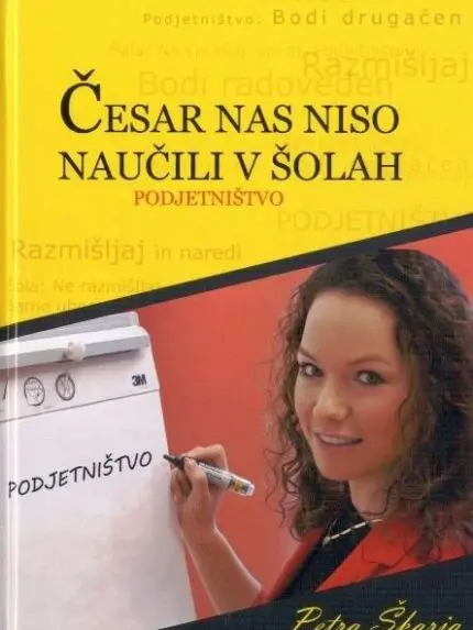Česar nas niso naučili v šoli - Podjetništvo