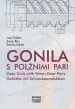 Gonila s polžnimi pari - slika 2