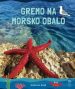 Gremo na morsko obalo