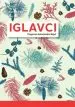 Moji prvi iglavci, preprost določevalni ključ - slika 2