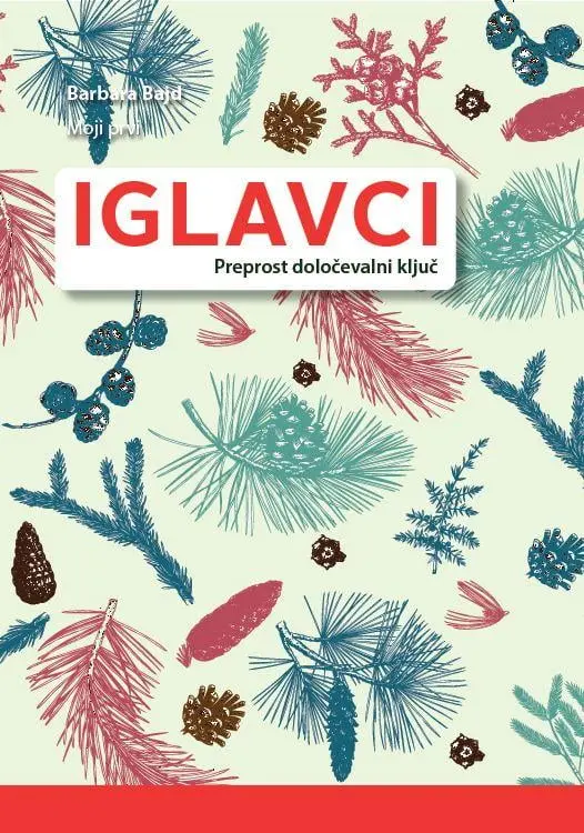 Moji prvi iglavci, preprost določevalni ključ - slika 2