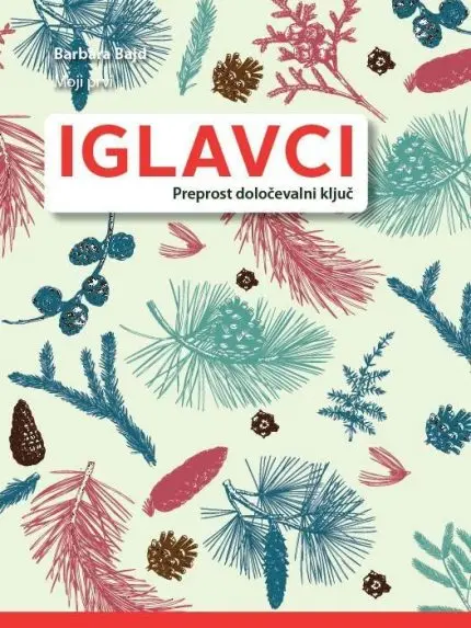 Moji prvi iglavci, preprost določevalni ključ