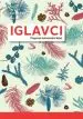 Moji prvi iglavci, preprost določevalni ključ
