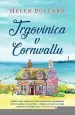 Trgovinica v Cornwallu - slika 2
