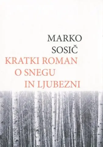 Kratki roman o snegu in ljubezni