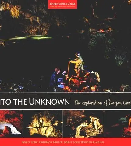 Into the Unknown