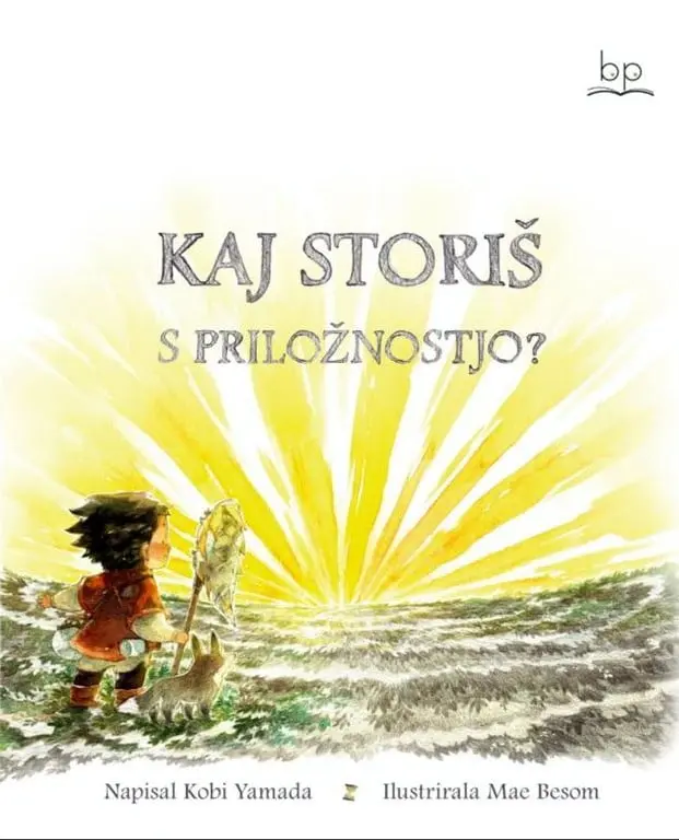 Kaj lahko storiš s priložnostjo? - slika 2