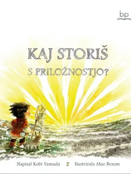 Kaj lahko storiš s priložnostjo?