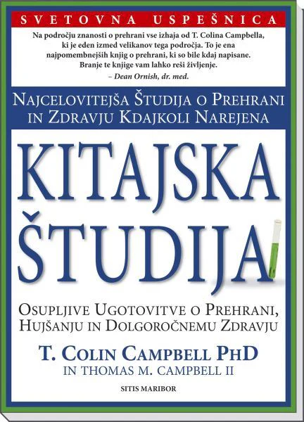 Kitajska študija