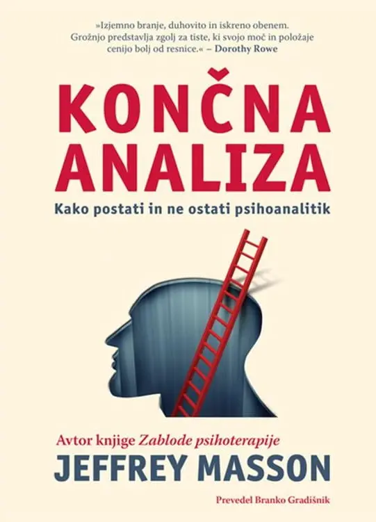 Končna analiza - slika 19
