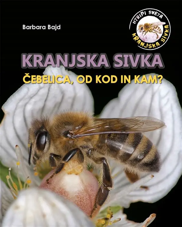 Kranjska sivka: Čebelica od kod in kam? - slika 5