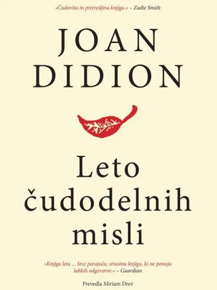 Leto čudodelnih misli