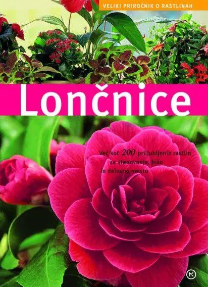 Lončnice