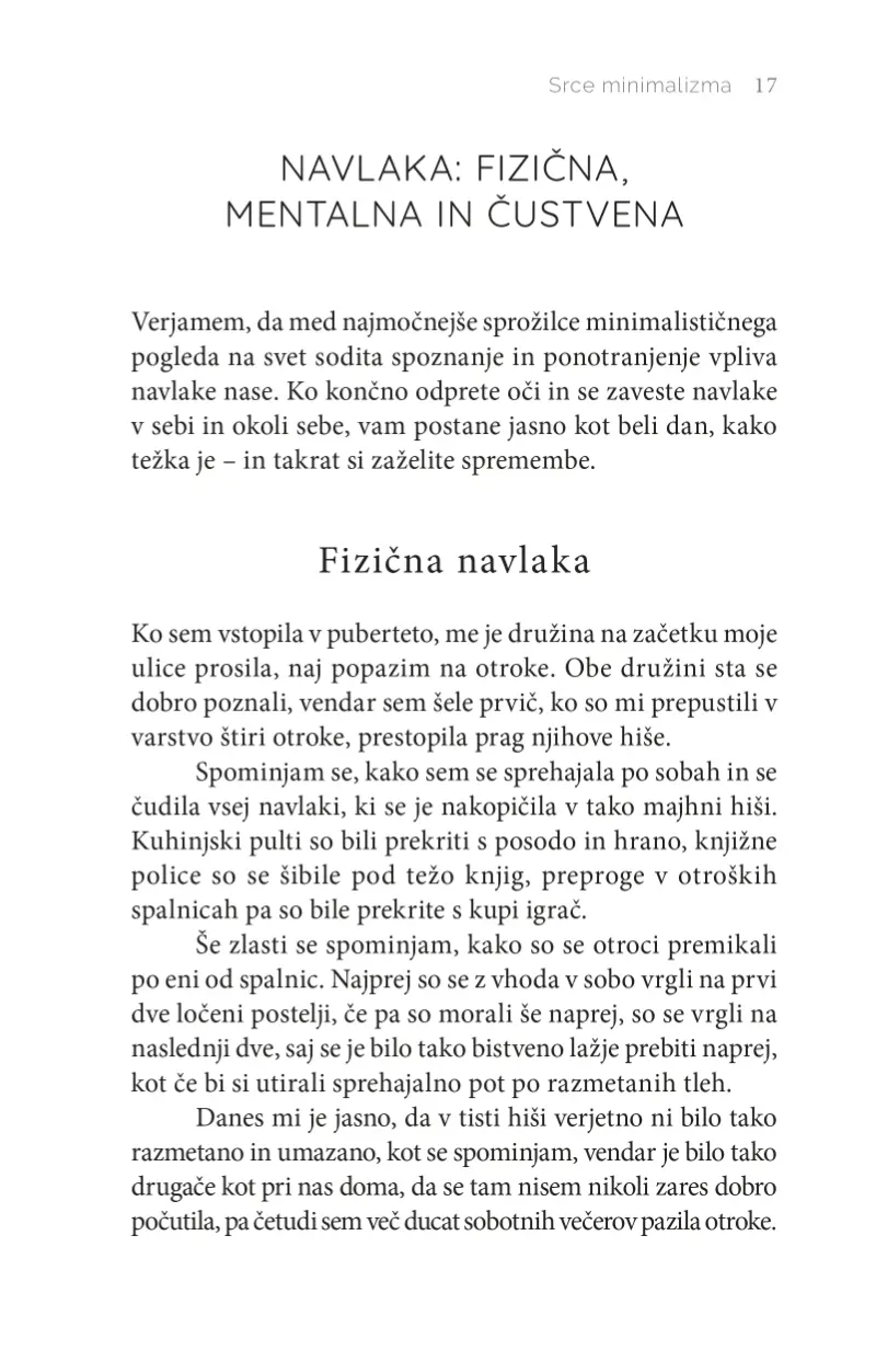 Minimalizem - slika 11
