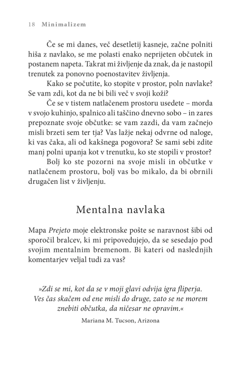 Minimalizem - slika 12