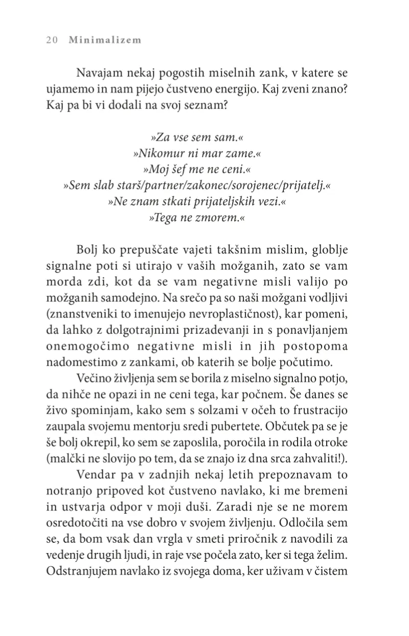 Minimalizem - slika 14