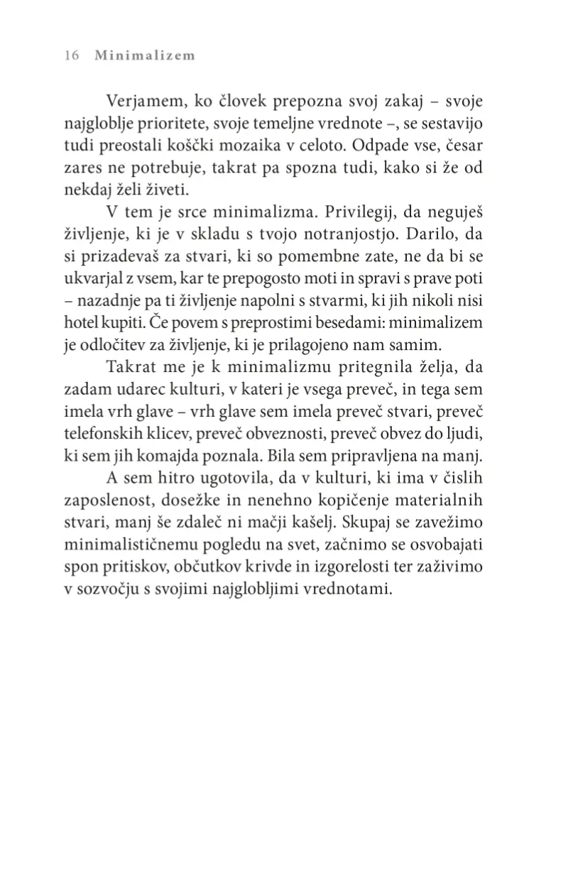 Minimalizem - slika 10