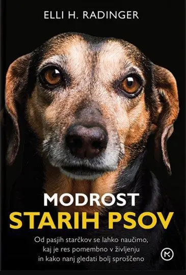 Modrost starih psov